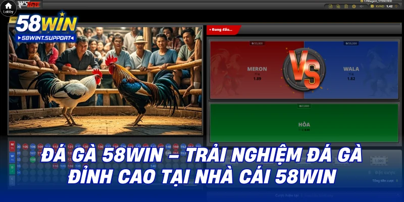 đá gà 58win