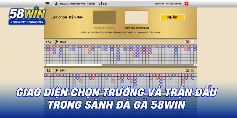 Giao diện chọn trường và trận đấu trong sảnh đá gà 58WIN