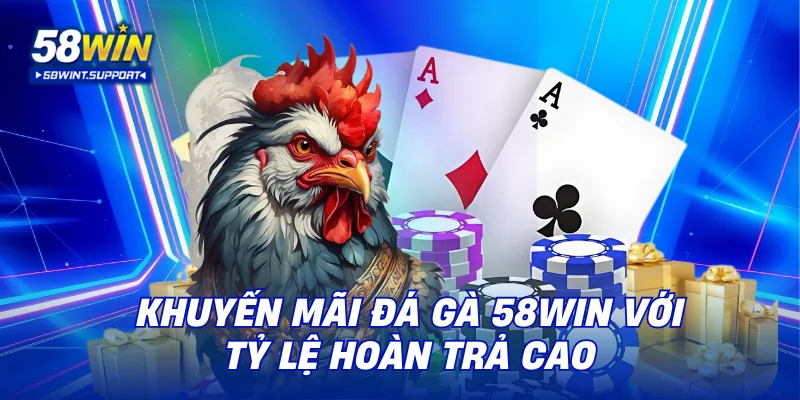 Khuyến mãi đá gà 58WIN với tỷ lệ hoàn trả cao